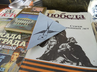 Акция «Блокадная ласточка». ЦГБ, Голубничая Е.О.