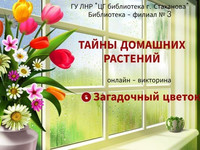 Литературный онлайндилижанс «Тайны домашних растений». БФ № 3, Павлова В. Г.